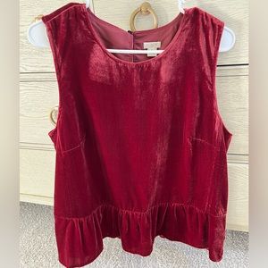JCrew Velvet Blouse